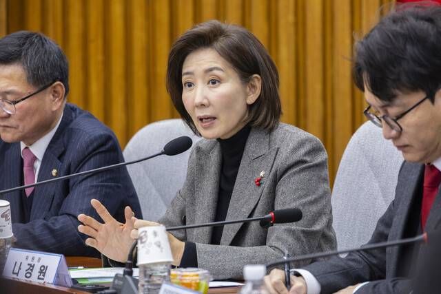 국민의힘 지방선거총괄기획단 위원장인 나경원 의원이 지난 15일 국회에서 열린 지방선거총괄기획단-전국청년지방의원협의회 연석회의에 참석했다. 연합뉴스