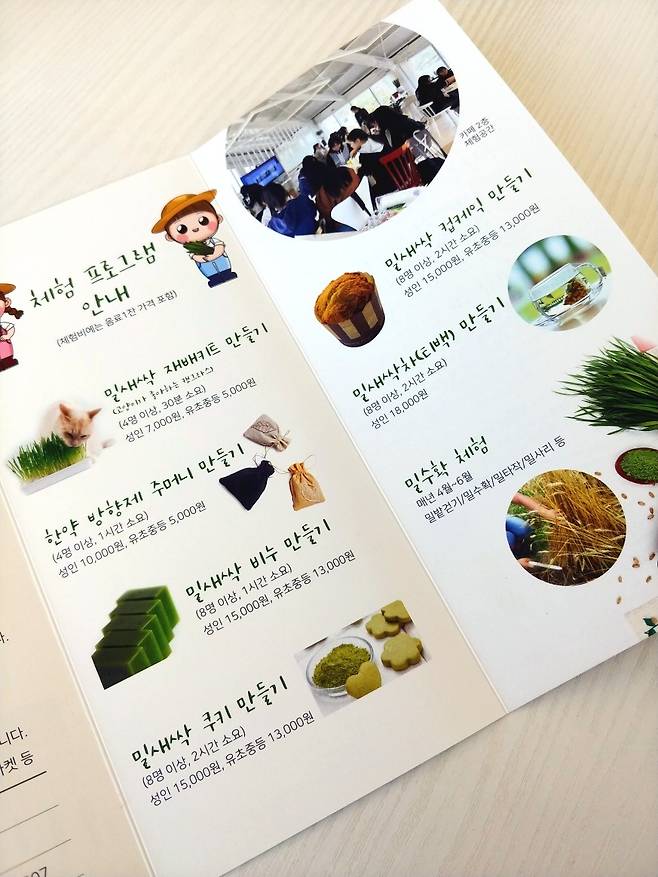 밀새싹힐링팜 체험 코스