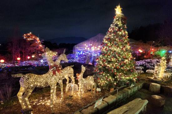 진해 보타닉뮤지엄