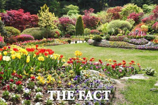 문화체육관광부가 주관하고 한국관광공사가 시행하는 '2026 열린관광 환경 조성 공모 사업'에 선정된 경기 가평군 소재 아침고요수목원의 모습. /가평군