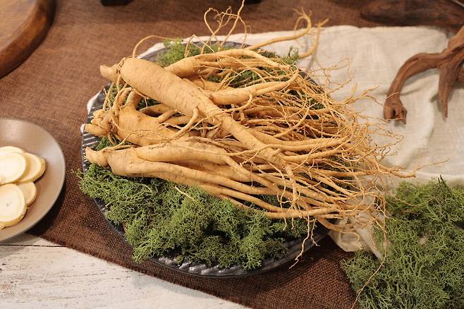 인삼은 면역력 증진을 비롯해 혈압 조절 효과, 피로 회복, 기억력 개선, 항산화 효과 등 건강에 이로운 기능을 한다. 농협경제지주 제공