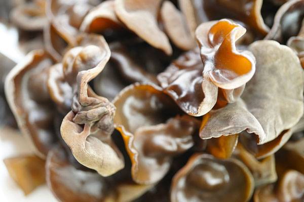 중국산 건조 목이버섯은 조리 전에 물에 불리는 과정에서 식중독을 유발하는 독소가 생성될 수 있다./사진=클립아트코리아