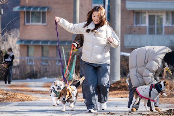 한진은 지난 12일 ‘Love Connect 캠페인’의 일환으로 유기견 구조단체 비글구조네트워크 논산센터를 방문해 유기견 돌봄 봉사활동을 진행했다. [사진=한진]
