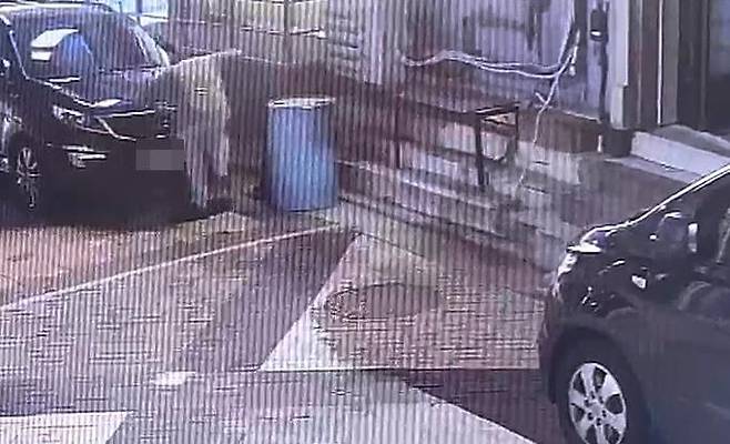 A man is seen torturing a cat in Incheon in June 2025 in this surveillance camera footage. [KOREAN ANIMAL WELFARE ASSOCIATION]