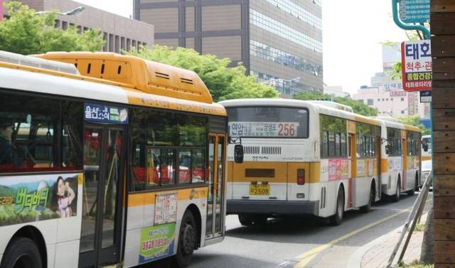 울산 시내버스. 서울신문DB