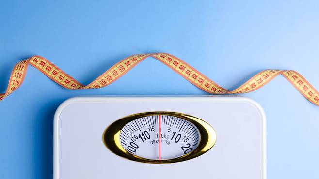 다이어트 실패와 요요 반복의 원인은 대사유연성 저하에서 비롯된다 | 출처: 게티이미지뱅크