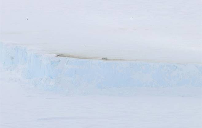 빙산 절벽에 막혀 번식지로 돌아가지 못한 성체 황제펭귄들(검은색 점들)과 배설 흔적(어두운 부분). 극지연구소 제공