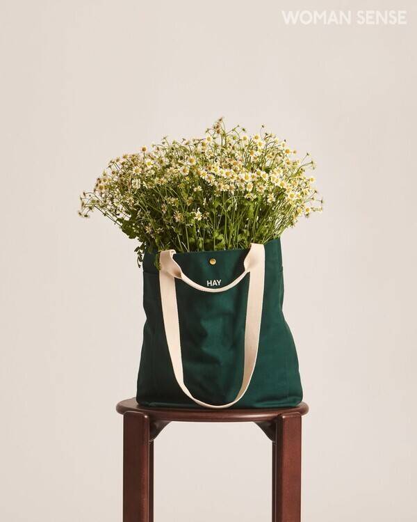 @haydesign