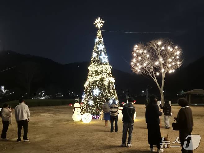 20일 울산 중구 태화강 국가정원에서 시민들이 크리스마스 트리를 배경으로 사진을 찍고 있다. 2025.12.20/뉴스1ⓒ 뉴스1 박정현 기자