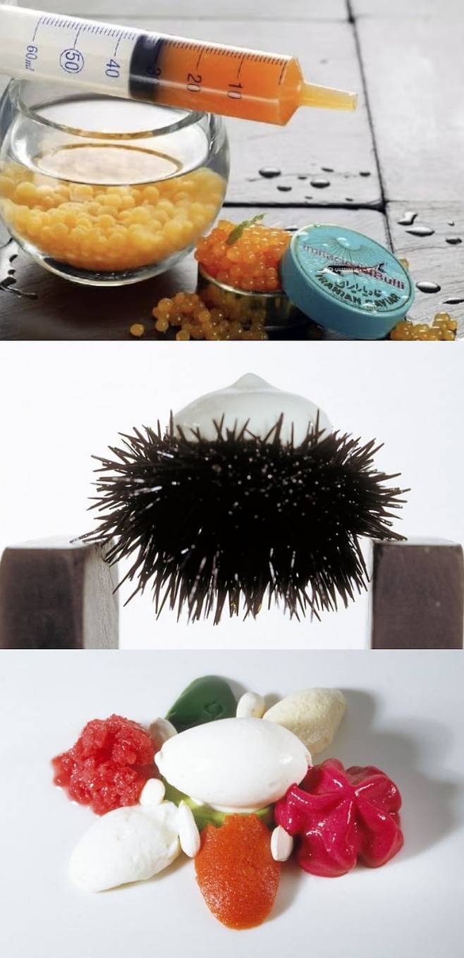 엘불리의 기념비적 요리들. ‘멜론 캐비아’(2003년·위)는 분자 요리 주요 테크닉인 구체화가 적용된 대표 요리로 꼽힌다. ‘흰강낭콩 거품을 얹은 성게알’(1994년·가운데)은 세계 최초로 에스푸마(거품)를 사용한 요리. ‘다양한 식감의 채소 파나셰’(1994년)는 채소를 크림·거품·아이스크림 등 다양한 식감으로 표현함으로써 기존 채소 요리와 전혀 다른 식감과 형태로 맛보게 했다. /월드50베스트