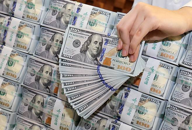 서울 중구 하나은행 위변조대응센터에서 은행 관계자가 달러화를 정리하는 모습. /뉴스1