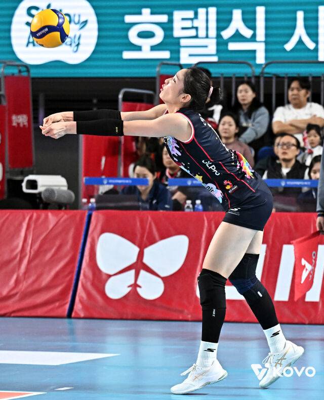 정관장 인쿠시./KOVO