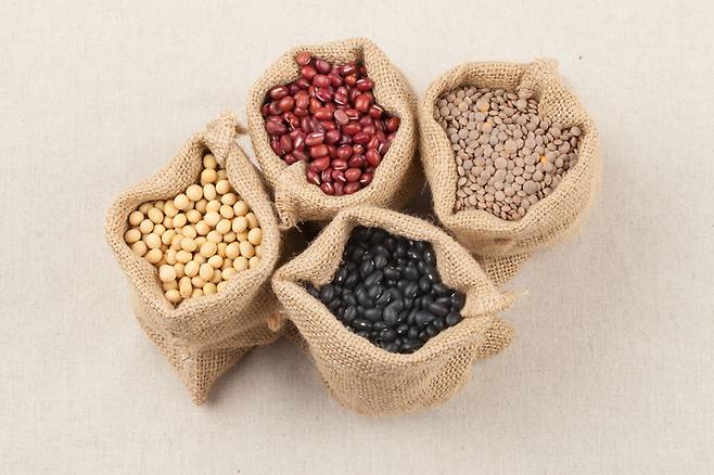 콩을 매일 먹으면 심혈관질환 발병 위험이 감소한다는 연구보고가 있다. 사진=게티이미지뱅크