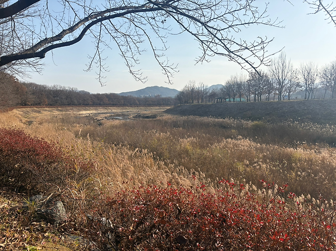 상림공원/사진=김지은 여행+ 기자