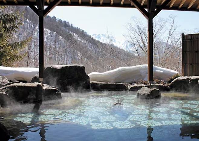 [일본 정부 관광국]