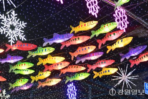 ◇화천의 겨울축제 시즌 개막을 알리는 2026 얼음나라 화천산천어축제 선등거리 점등식이 20 화천읍 중앙로 일대에서 김진태 지사, 신경호 교육감, 최문순 군수, 류희상 군의장, 김진호 7사단장, 임승규 15사단 작전부사단장 등이 참석한 가운데 열렸다. 사진은 불 밝힌 선등거리