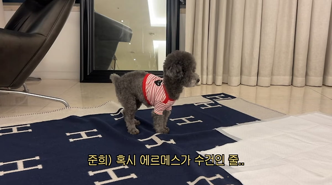 사진 | 유튜브 채널 ‘고준희 GO’ 캡처.