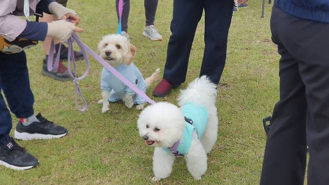 사진은 기사 특정 내용과 관련 없음.