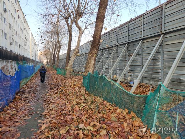 21일 오전 인천 부평구 삼산동 한 아파트와 경인고속도로 방음벽 사이 산책로 양쪽 가장자리에 불법 경작이 이뤄지고 있다. 황남건기자