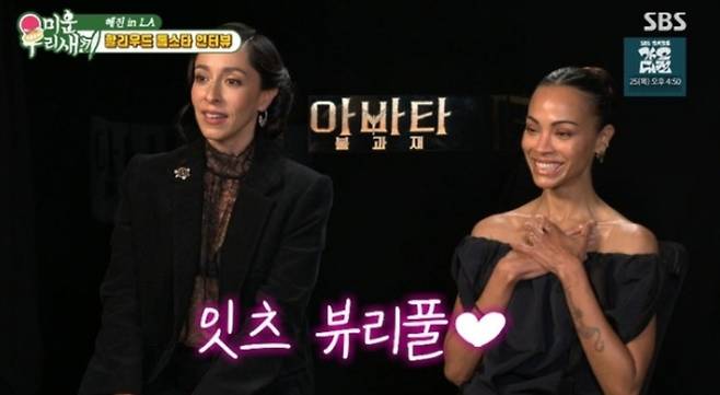 모델 겸 방송인 한혜진이 영화 '아바타' 속 캐릭터로 완벽 변신해 배우들을 놀라게 했다. /사진=SBS '미운 우리 새끼' 방송화면