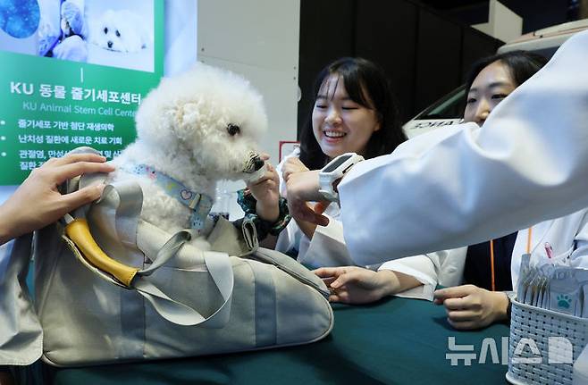 [서울=뉴시스] 이영환 기자 = 서울 강남구 코엑스에서 열린 2025 케이펫페어 건국대학교 동물병원 부스에서 반려견이 상담을 받고 있다. 2025.08.13. 20hwan@newsis.com