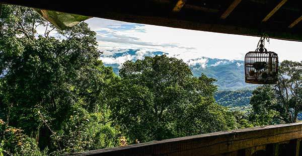 차실에서 보이는 차산.