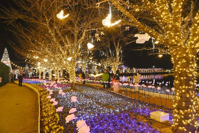 송해공원에서 처음 선보인 겨울 경관조명 . 달성군 제공