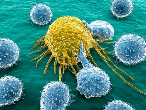 면역항암제는 사람 몸 속의 면역체계를 활용해 암을 치료하는 의약품으로, 특히 기존 치료법으로 실패한 전이 암과 재발 암에서 효과가 높아 1세대 화학항암제, 2세대 표적항암제에 이은 3세대 최신 치료 요법이다./조선DB