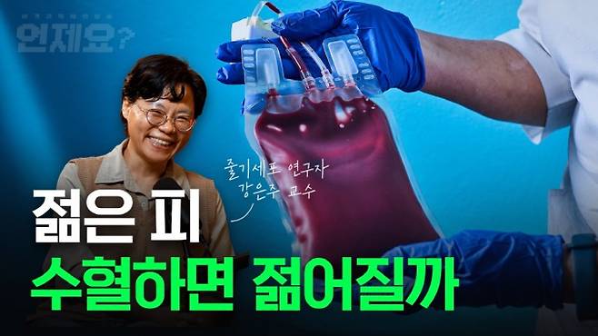 언제요 딥토크 5화 - 줄기세포가 만들어낼 인류의 영생