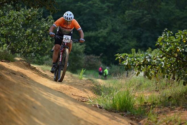 단기간 운동 땐 기초대사량의 7배까지도 소비했다. 픽사베이
