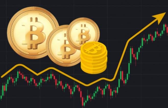 쿠키뉴스 자료사진.