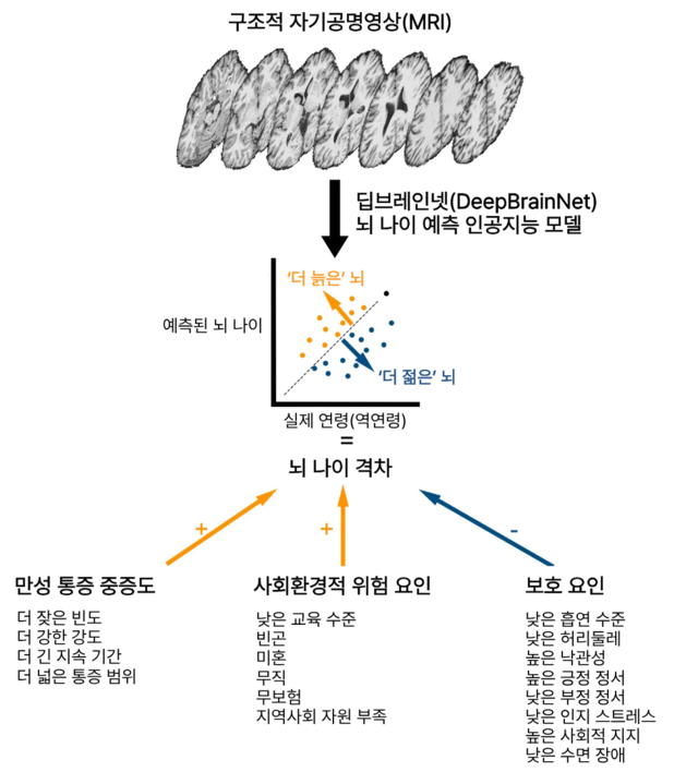 연구를 함축한 그래픽. 연구팀