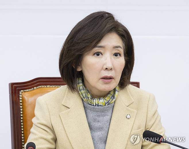 국민의힘 지방선거 총괄기획단 회의에서 발언하는 나경원 위원장 (서울=연합뉴스) 황광모 기자 = 국민의힘 나경원 지방선거 총괄기획단 위원장이 23일 국회에서 지선 총괄기획단 전체 회의에서 발언하고 있다. 2025.12.23 hkmpooh@yna.co.kr
