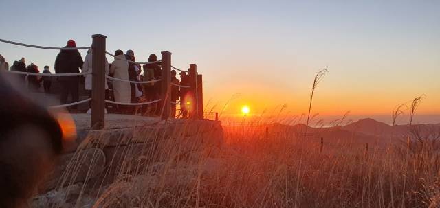 방문객들이 지난 1월 1일 천성산 천성대에서 솟아오른 해를 보면서 소원을 빌고 있다. 김태권 기자
