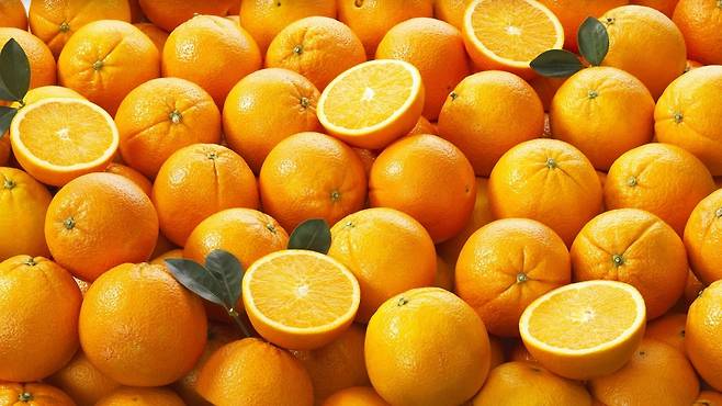 오렌지는 혈관기능 개선과 항염증 효과도 있다｜출처: 클립아트코리아