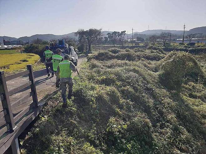 한경환경보전이 고유의 기술로 생태계교란식물 가시박을 박멸하는 모습 / 출처=한경환경보전