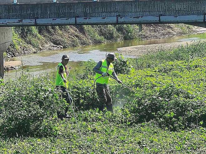 한경환경보전이 고유의 기술로 생태계교란식물 가시박을 박멸하는 모습 / 출처=한경환경보전