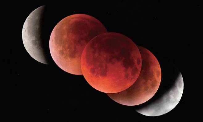 개기월식 모습. 전영범 한국천문연구원 전영범 책임연구원이 2025년 9월 8일 촬영한 사진. /사진=한국천문연구원