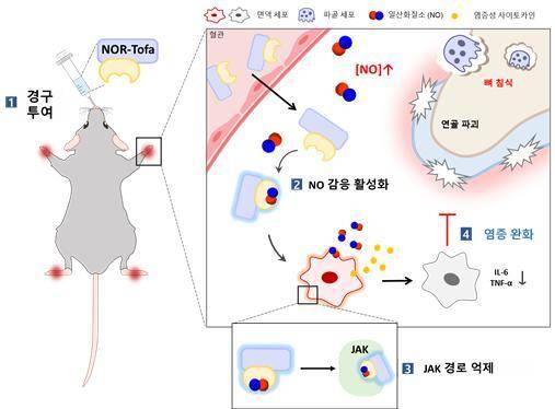 연구 이미지. /포항공과대학교 제공