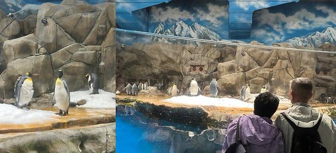 김수연 기자 xunnio410@donga.com