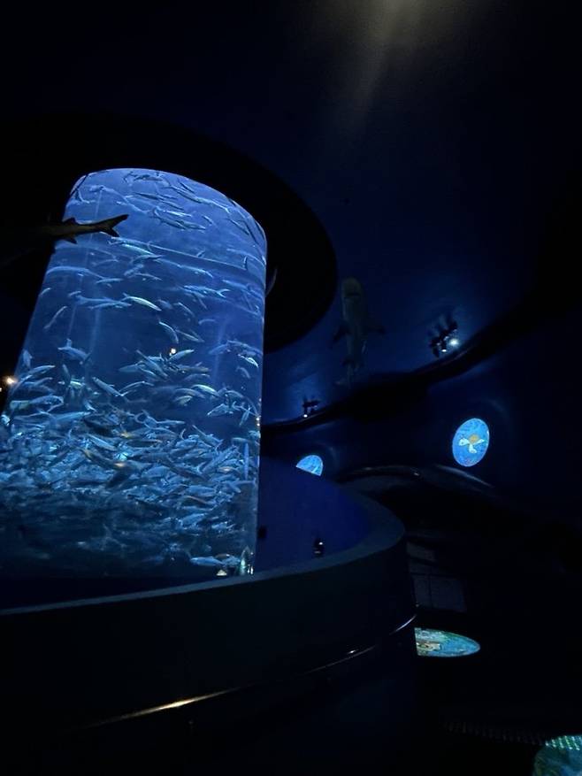 김수연 기자 xunnio410@donga.com