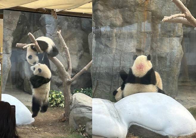 김수연 기자 xunnio410@donga.com