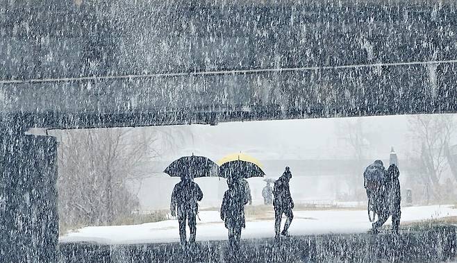 People are seen walking underneath umbrellas as snow falls in Chuncheon, Gangwon, on Dec. 23. [YONHAP]