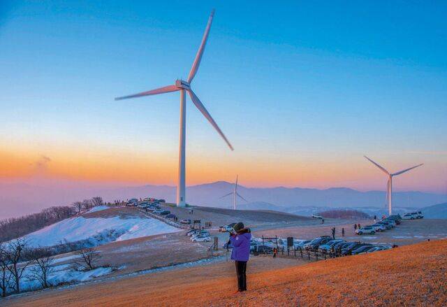 강원도 평창 삼양라운드힐 고원 초지에 해돋이를 보기 위해 몰려온 차량 행렬.