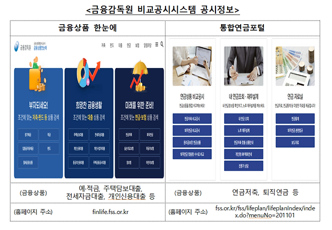 [금융감독원]