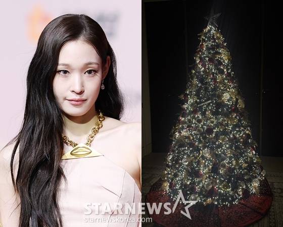 /사진=스타뉴스, 애니