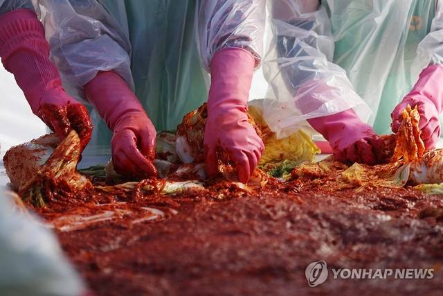 경북 구미시 금오산대주차장에서 열린 ‘새마을부녀회 2025 사랑의 김장 나누기’ 행사에서 참석자들이 김장을 하고 있다. 연합뉴스