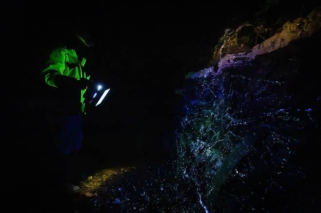 2025년 12월 알몬티대한중석 관계자가 자외선(UV)램프를 통해 상동광산 갱도 내 텅스텐 광맥을 육안으로 살펴보고 있다. 김정훈 기자