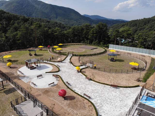 ▲ 내년 상반기 개장을 앞둔 강릉 펫파크 전경