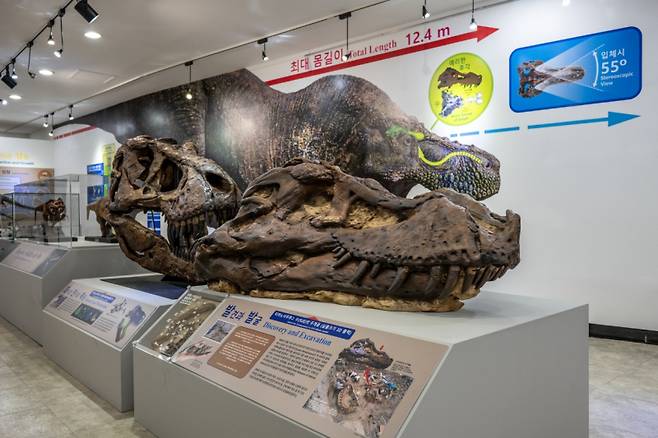 티라노사우루스 표본 ‘수(SUE)’의 머리뼈 3D 출력모형. 한국지질자원연구원